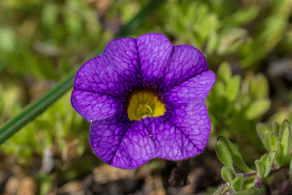 Day281PhotoStack2.jpg
