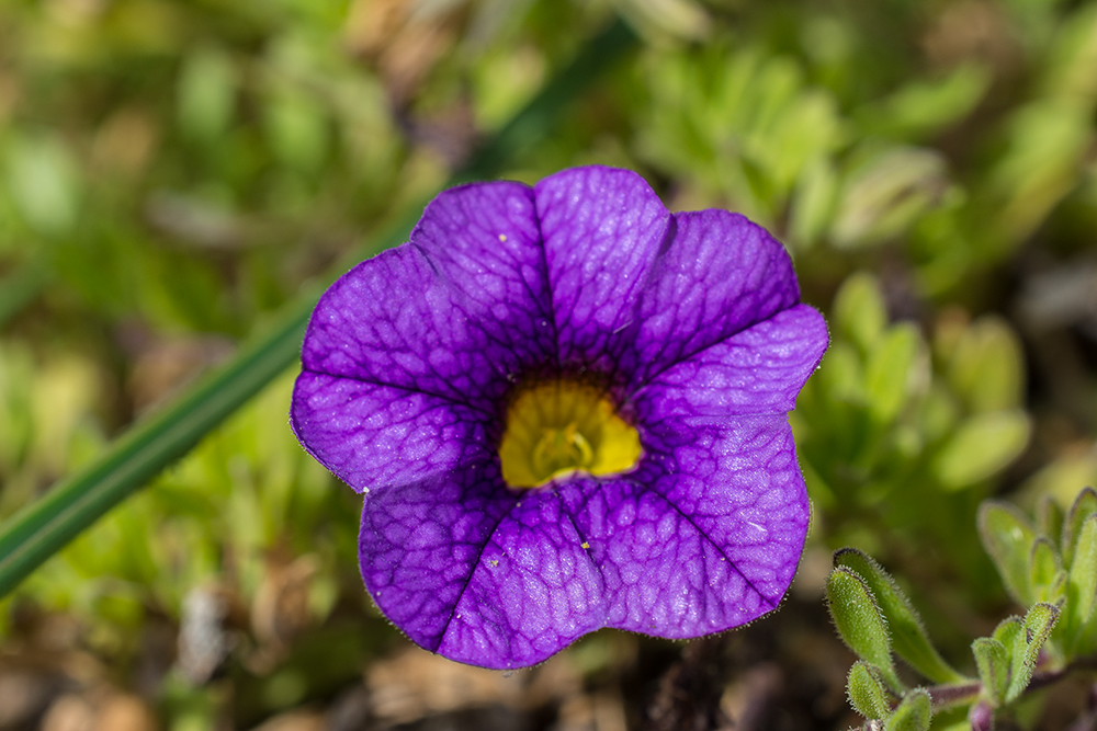 Day281PhotoStack3.jpg