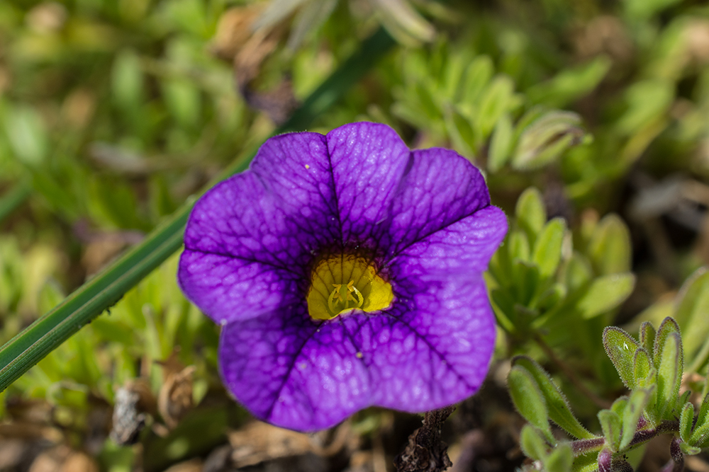 Day281PhotoStack4.jpg