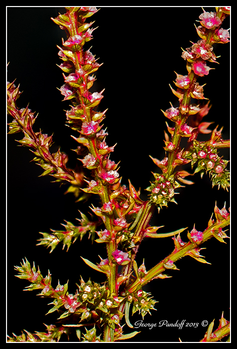 Day282PhotoStack.jpg
