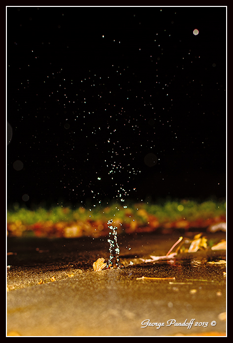 Day286Splash.jpg