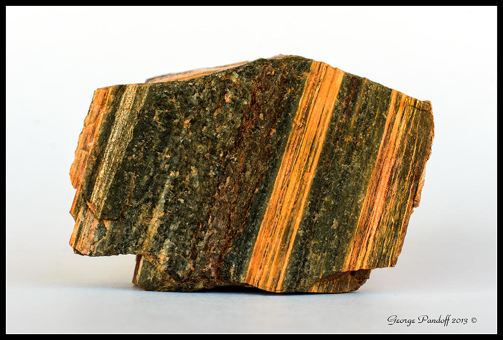 Day301PetrifiedWood.jpg
