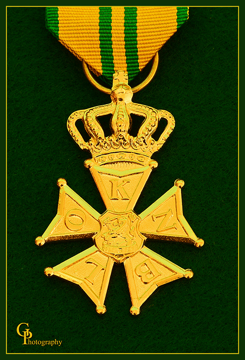 Day309Medal.jpg