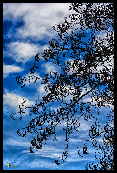 Day327Sky.jpg