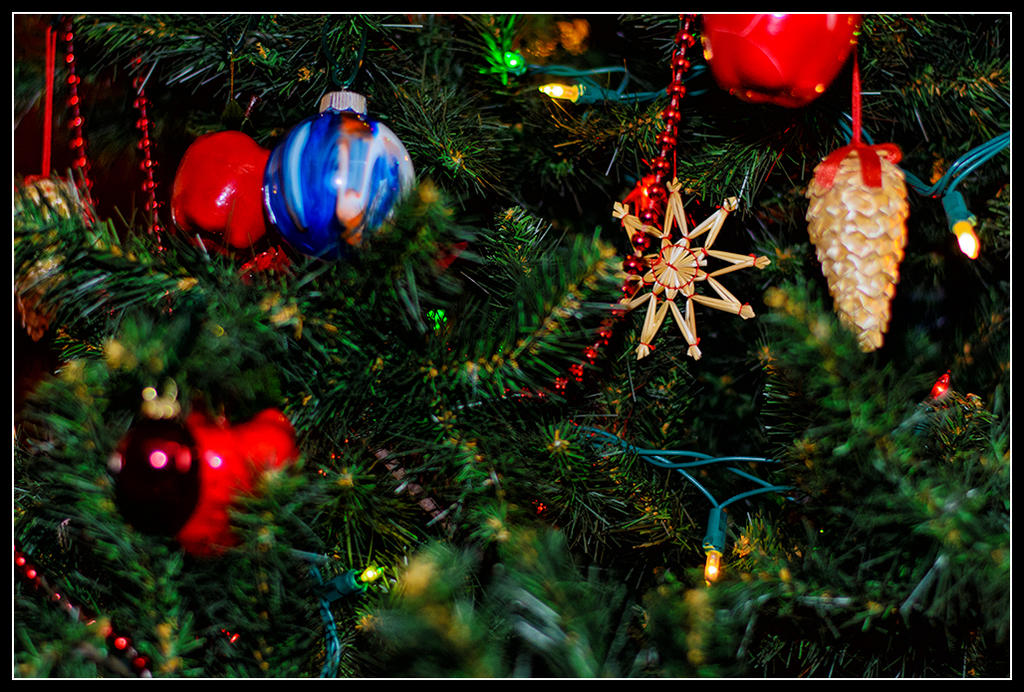 Day348ChristmasTree.jpg