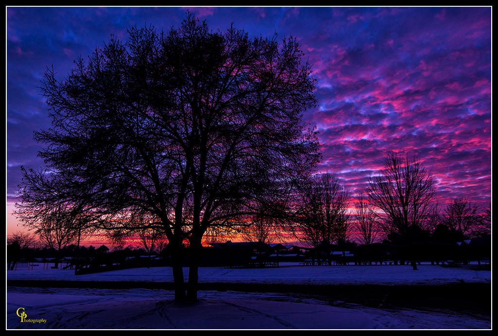 Day350Sunset.jpg