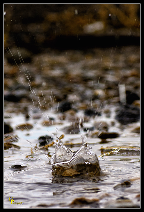 Day363Water.jpg