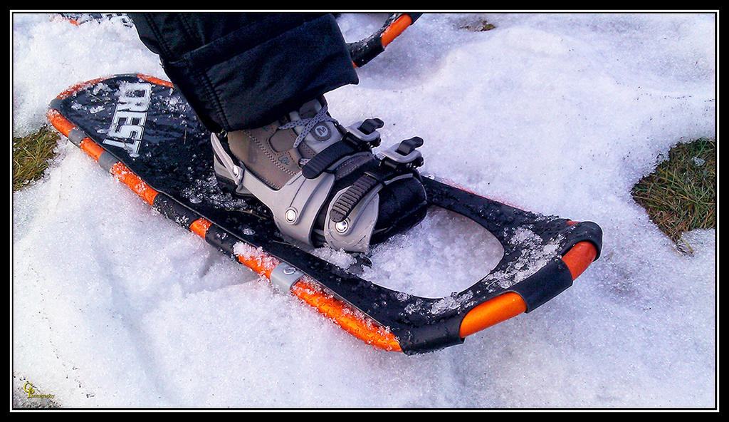 Day40SnowShoe.jpg
