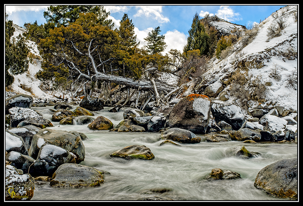 Day50River.jpg