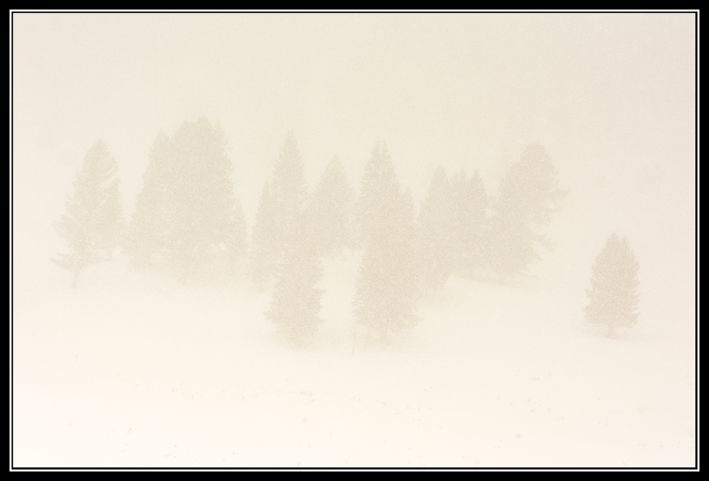 Day52Snow.jpg