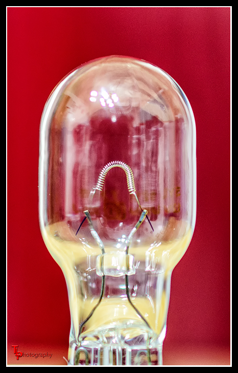 Day55Bulb.jpg