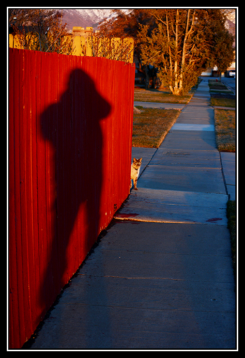 Day63Shadow.jpg