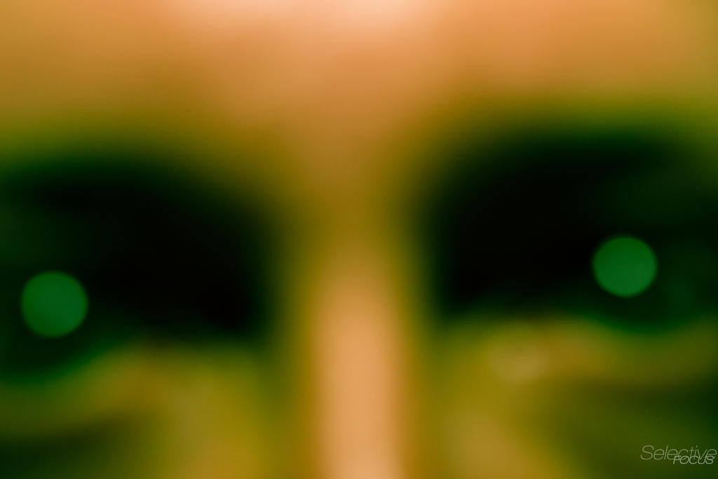 Day70-3.jpg