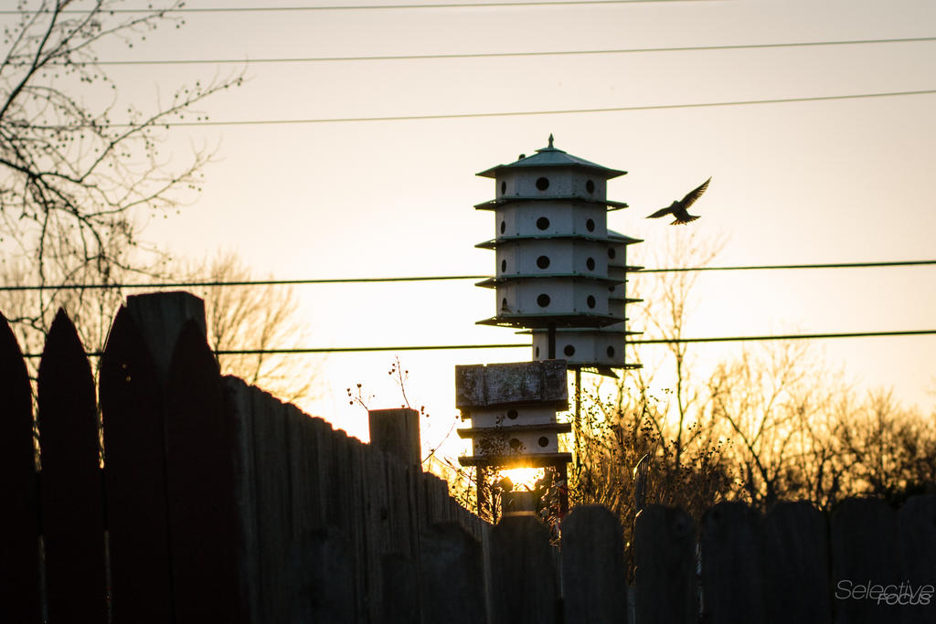 Day72-1.jpg