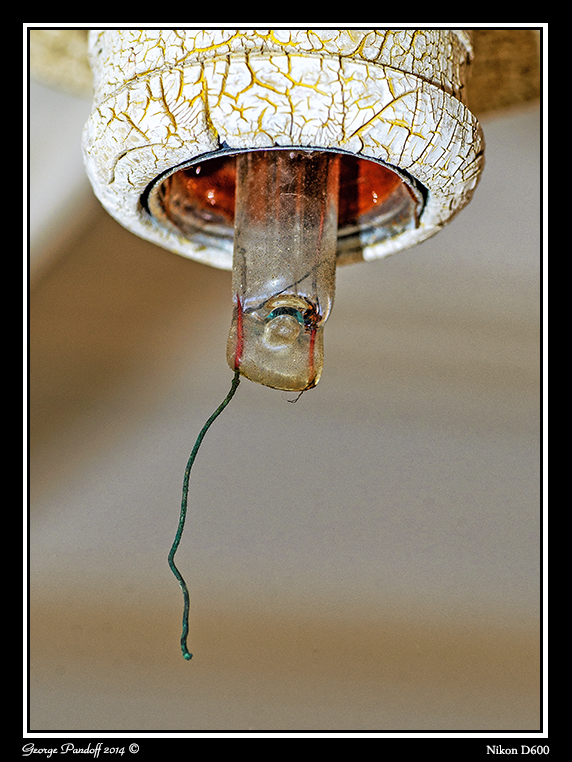 Day83Bulb.jpg