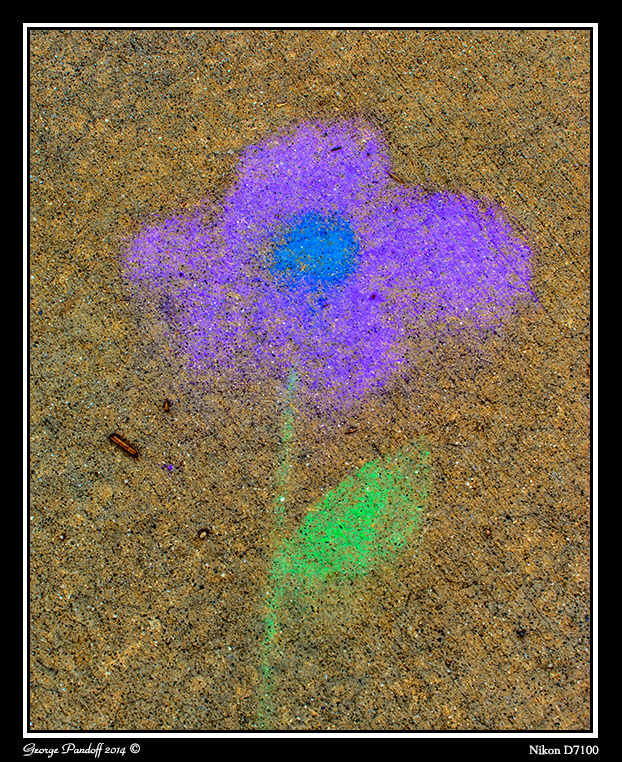 Day85Flower.jpg