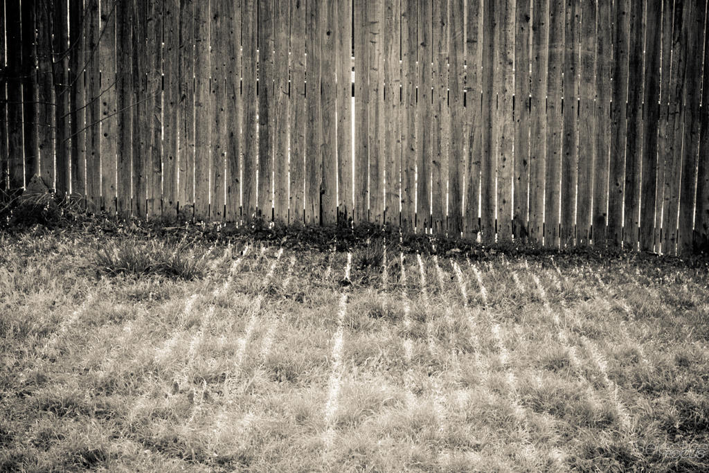 Day90-1.jpg