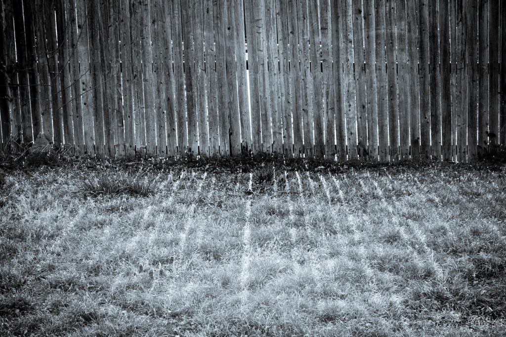 Day90-2.jpg