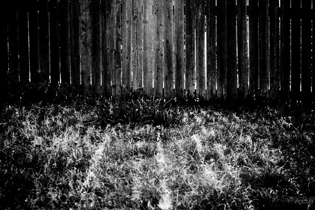 Day90-3.jpg