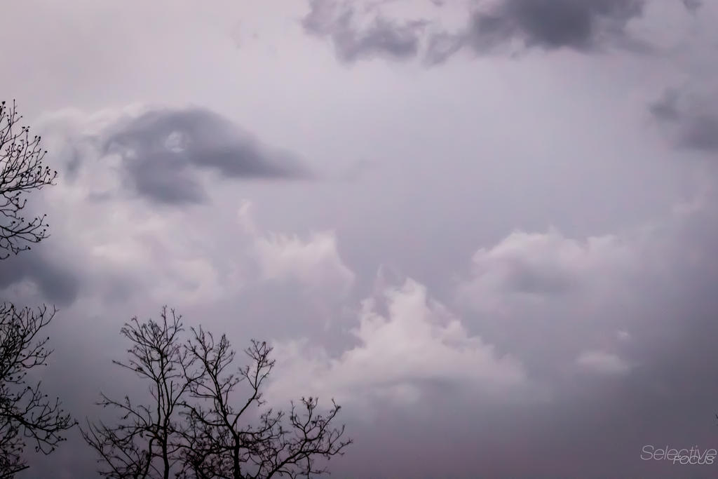 Day90-4.jpg