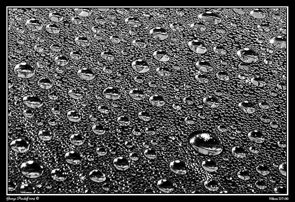 Day90Droplets.jpg