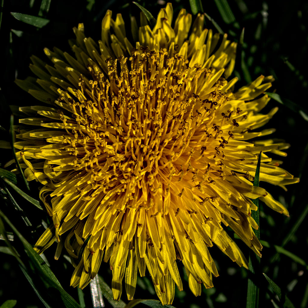 Day94-4.jpg