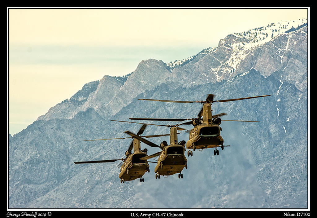 Day99_Choppers.jpg