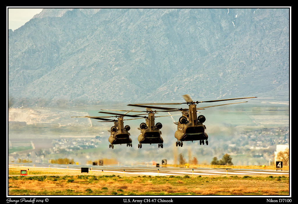 Day99Choppers.jpg