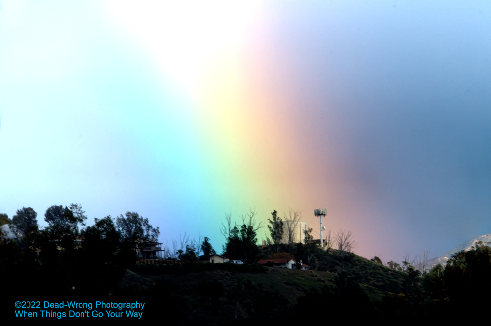 Dead Wrong Rainbow N FR_500 6715.jpg