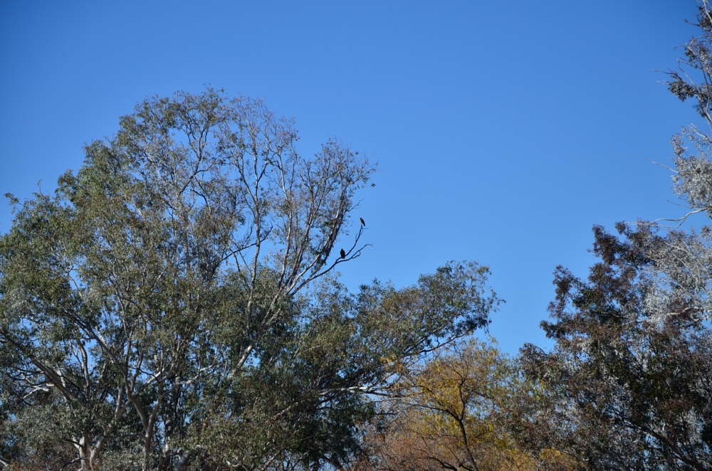 Dec 29th 2013 036.JPG
