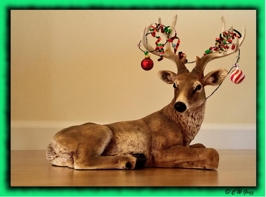 Decorated Deer