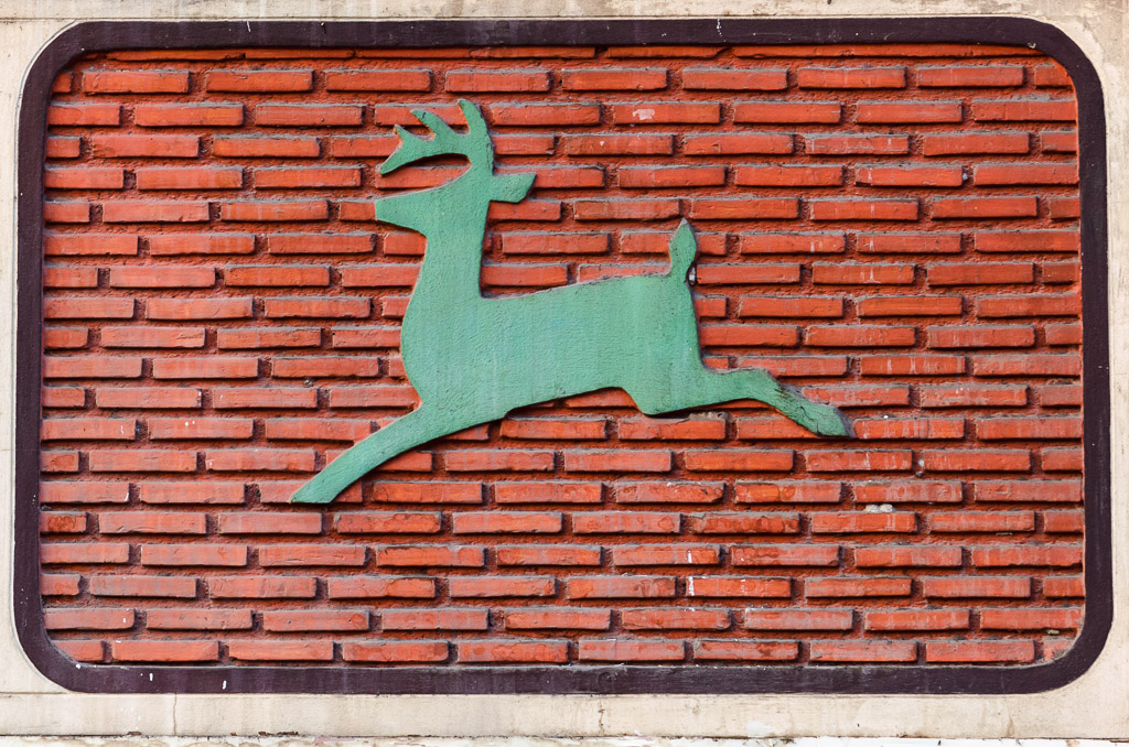 deer--at--Banbung-YPE-1.jpg