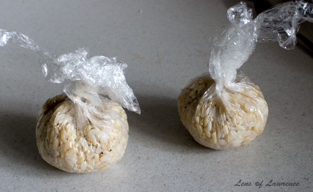 Deezey' Rice Balls LOL.jpg