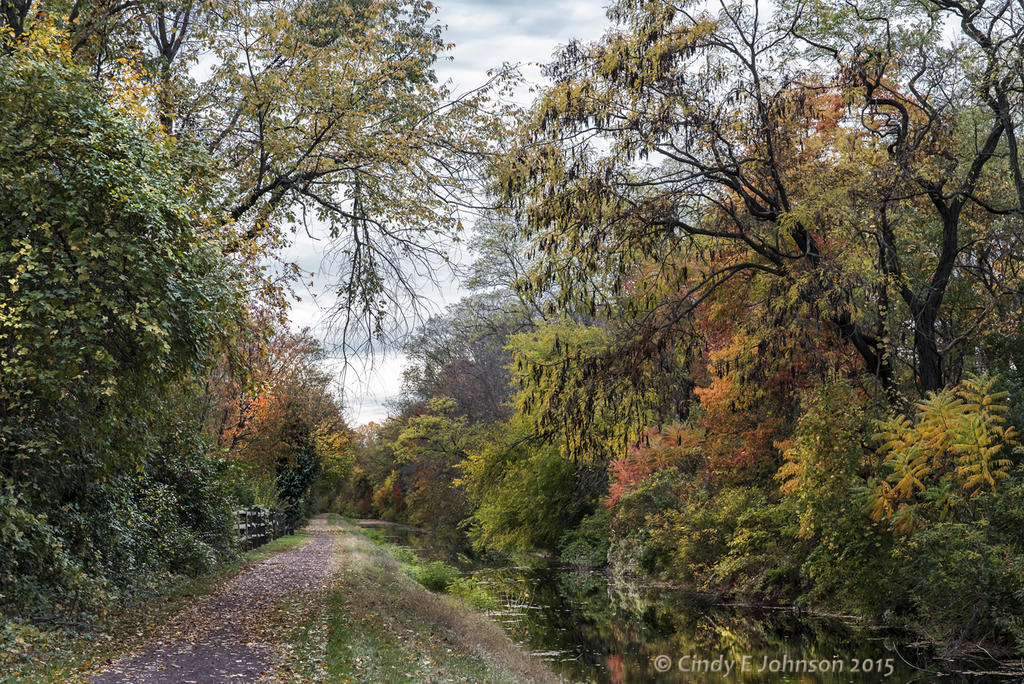 Delaware Canal 1.jpg