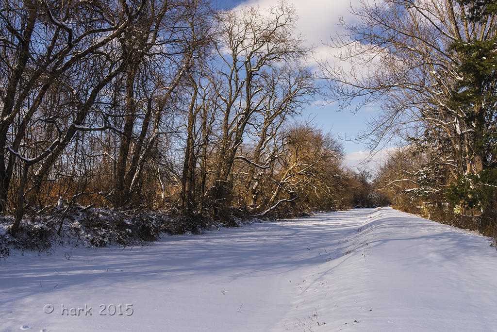 Delaware Canal and Towpath.jpg Delaware Canal and Towpath.jpg