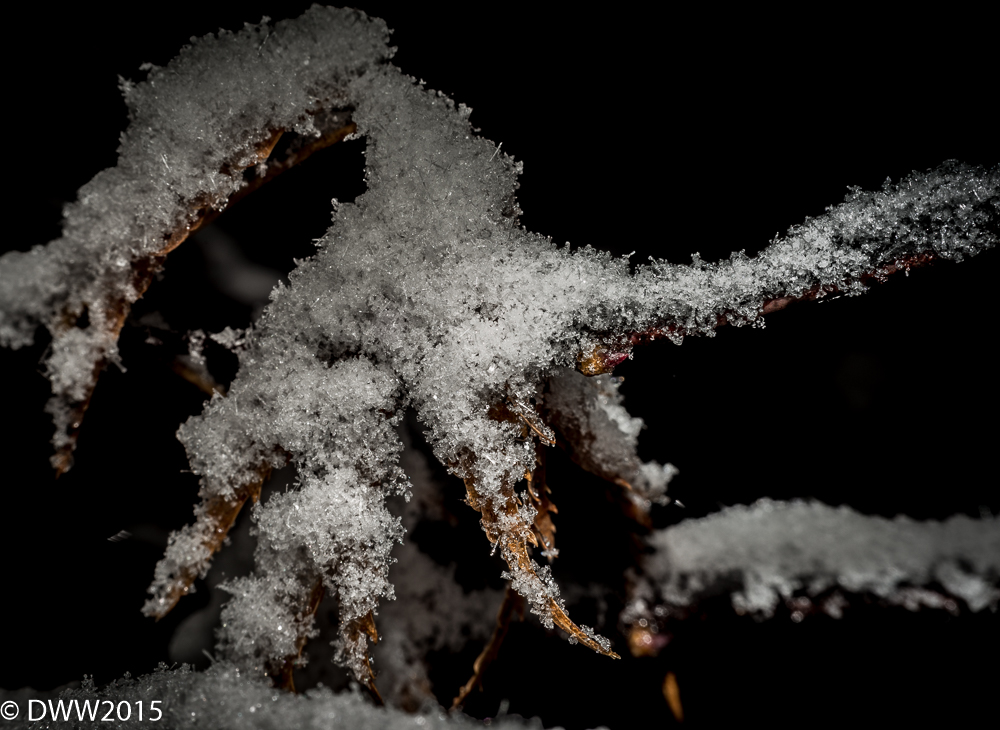 Delicate Crystals (1 of 1).jpg