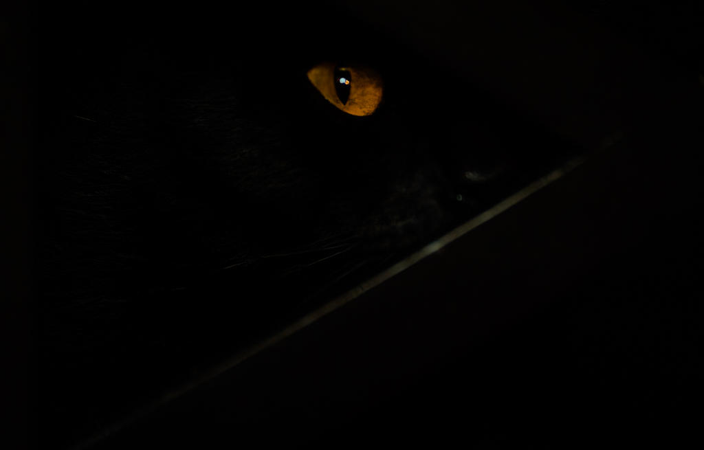 Dell Eye Low Key (1 of 1).jpg