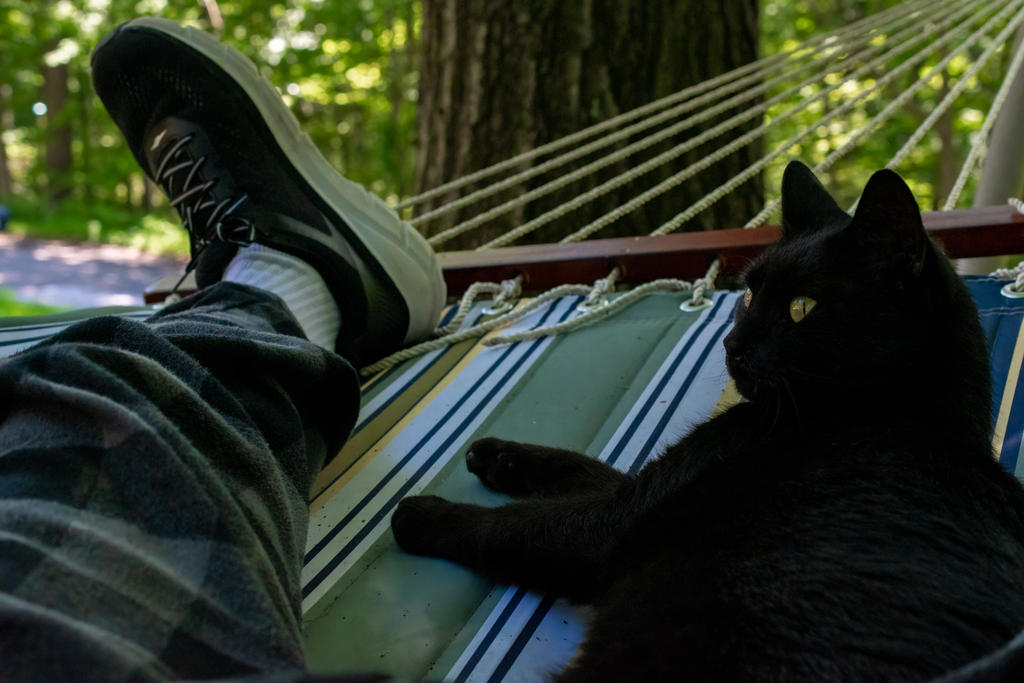 Dell Hammock 5 (1 of 1).jpg