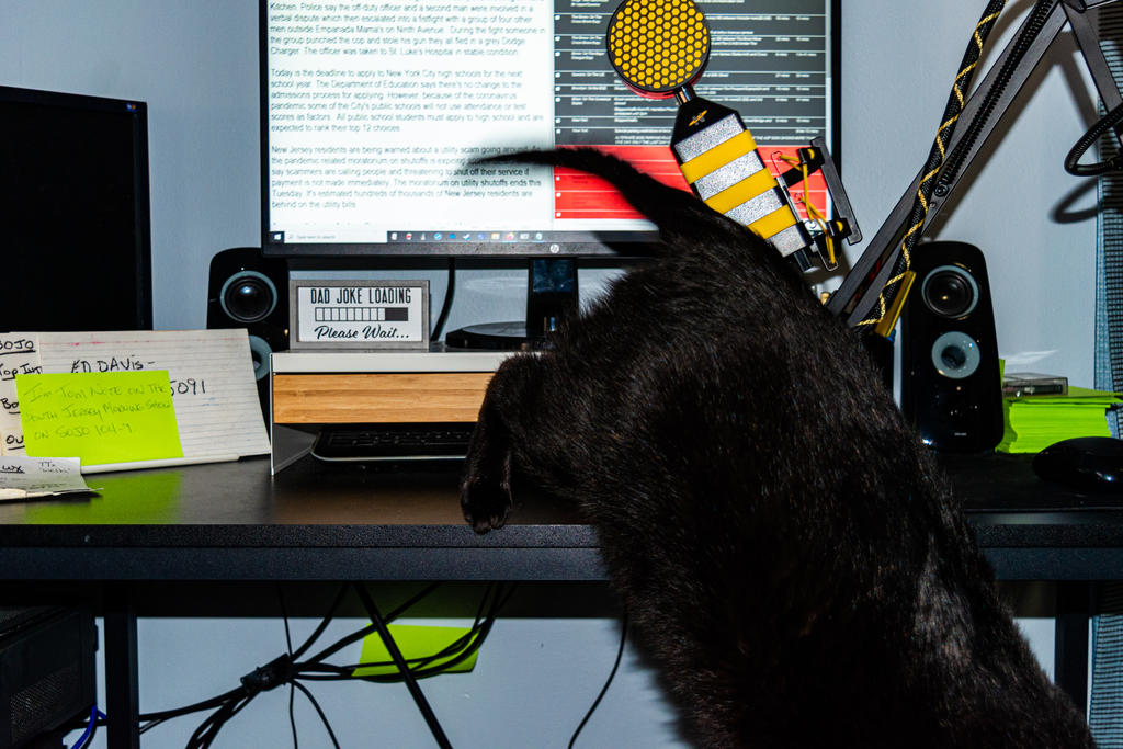 Dell Jumps Off Desk (1 of 1).jpg