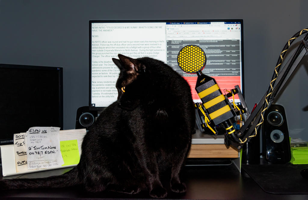 Dell On Desk (1 of 1).jpg