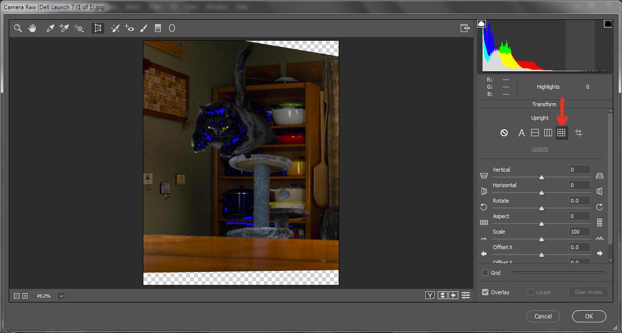 Dell screen shot.jpg