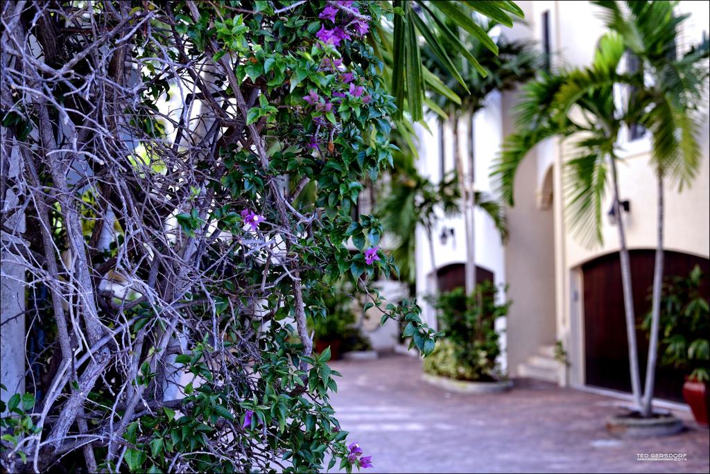 Delray   29_2769.jpg
