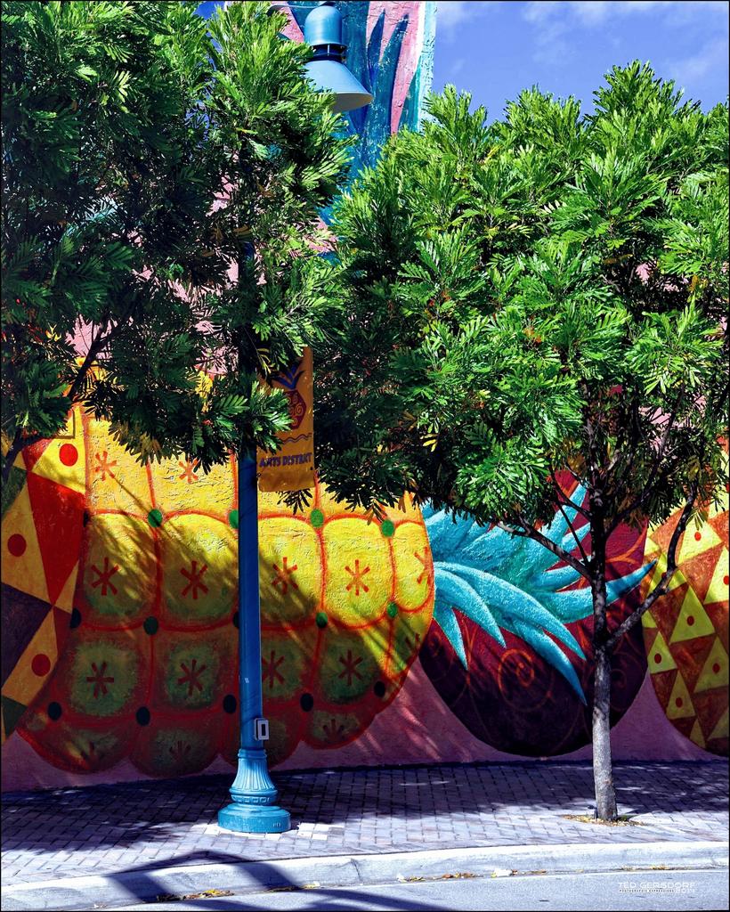 Delray   2_2742.jpg