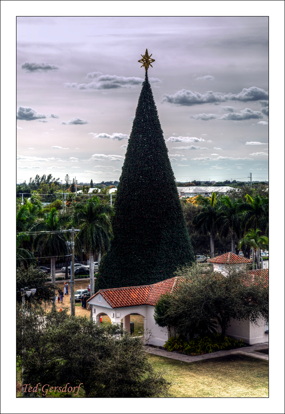 Delray Christmas Tree.jpg