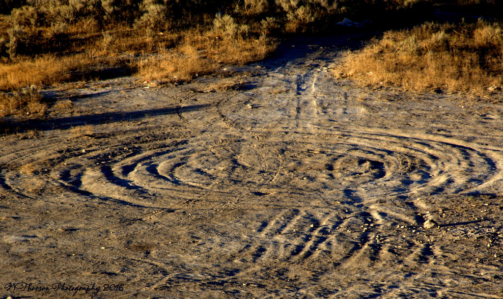 Desert Mandala 7-19-2016.jpg