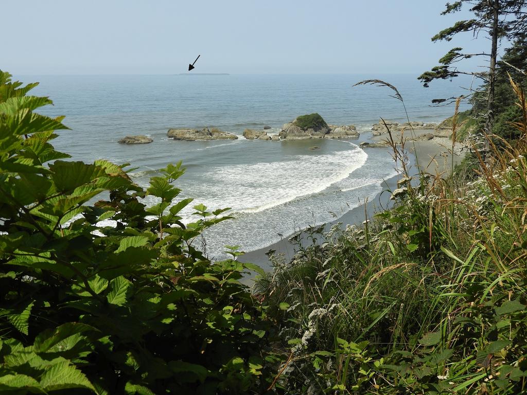 Destruction Island Lighthouse 3mi offshore 01 sm.jpg