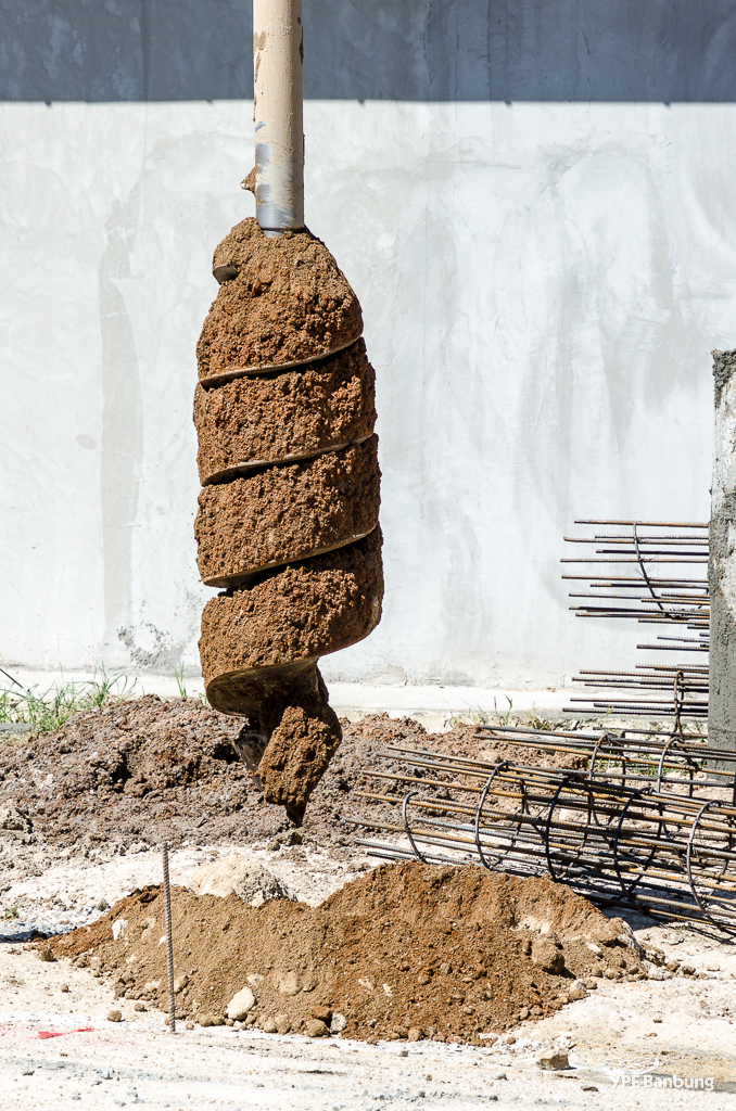 digging1-4.jpg