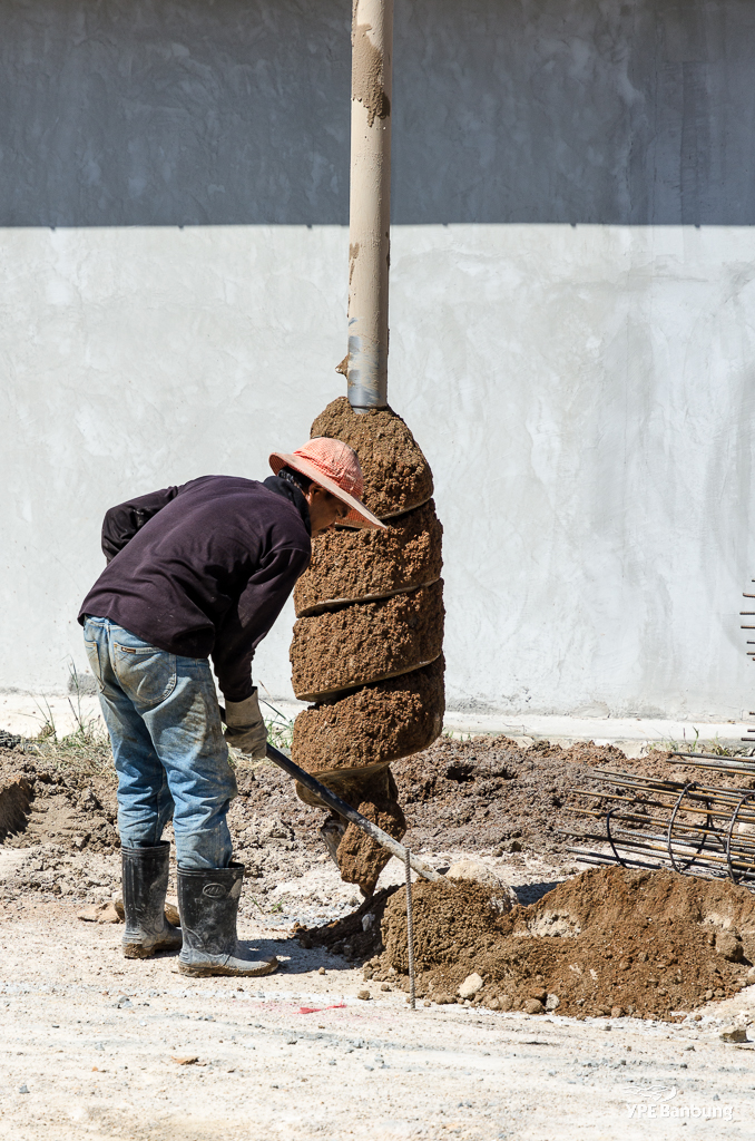 digging1-5.jpg