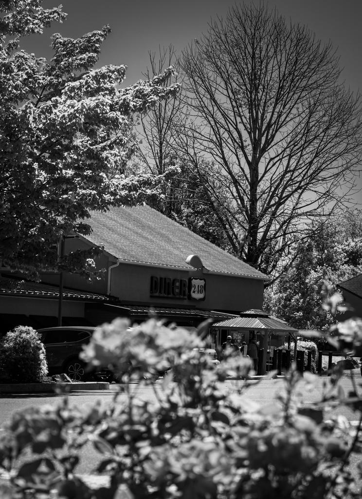 Diner 248 (1 of 1).jpg