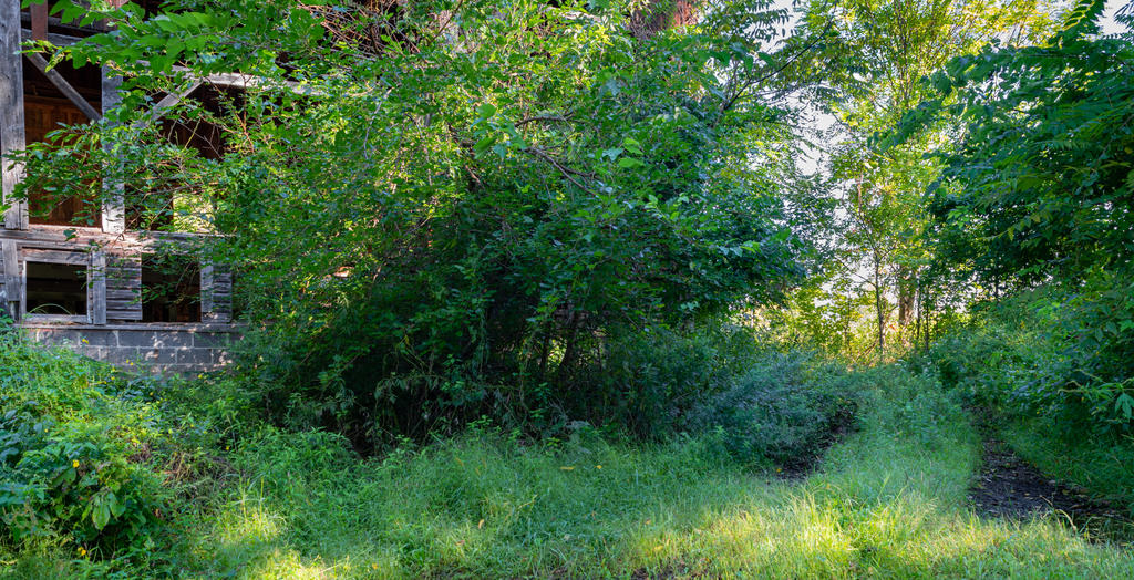 Dirt Road HDR 1-1.jpg